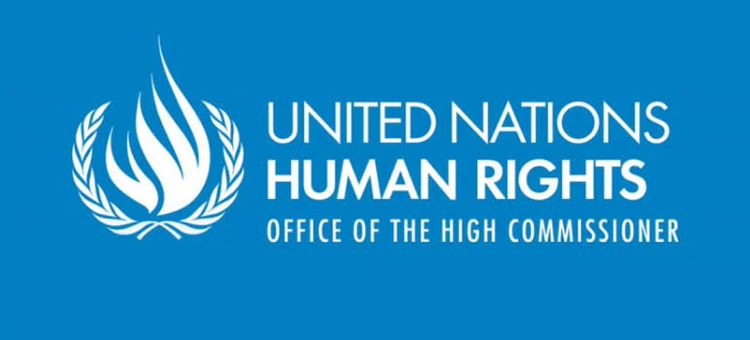 UN Reports on Japan by the OHCHR