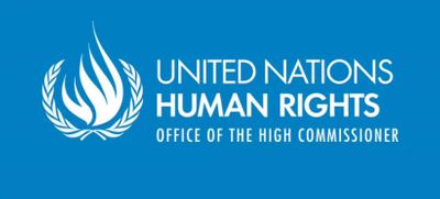 UN Reports & Submissions